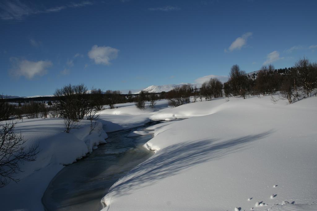 Furulund Pensjonat ロン エクステリア 写真