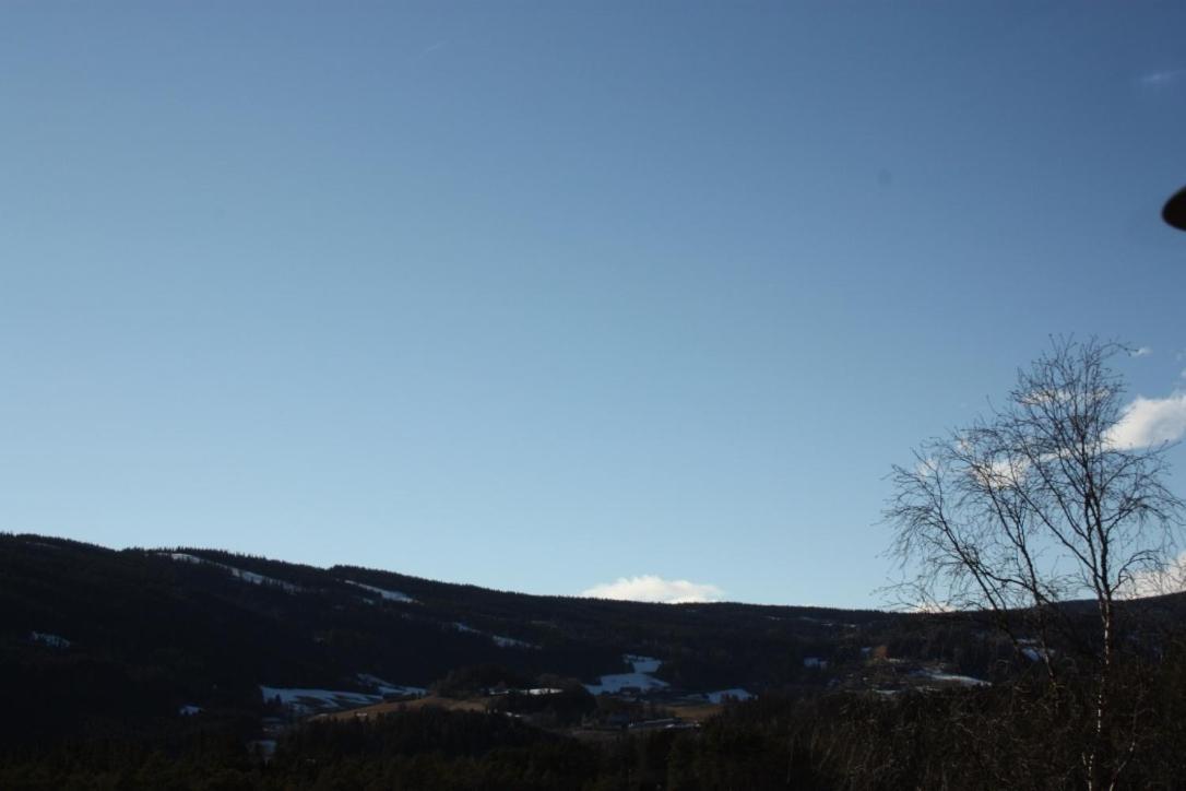 Furulund Pensjonat ロン エクステリア 写真