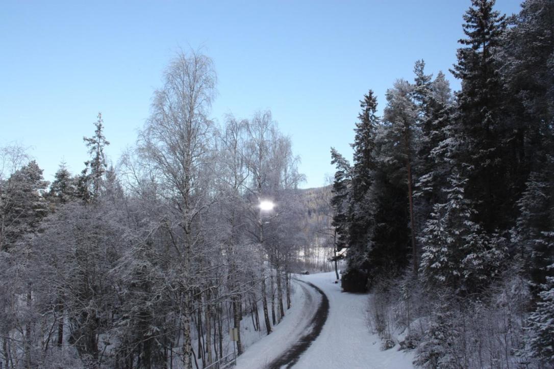 Furulund Pensjonat ロン エクステリア 写真